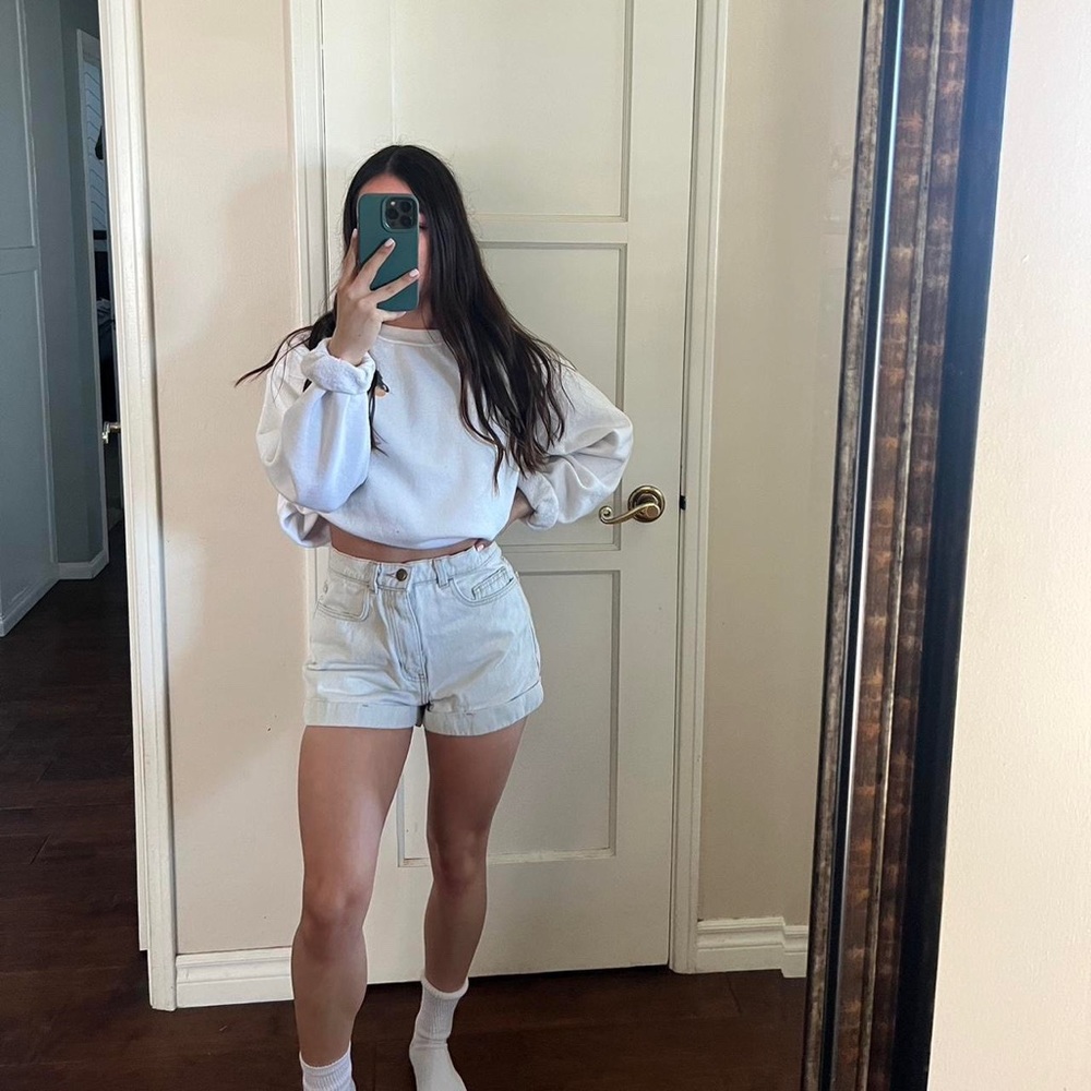 American apparel high waisted short.